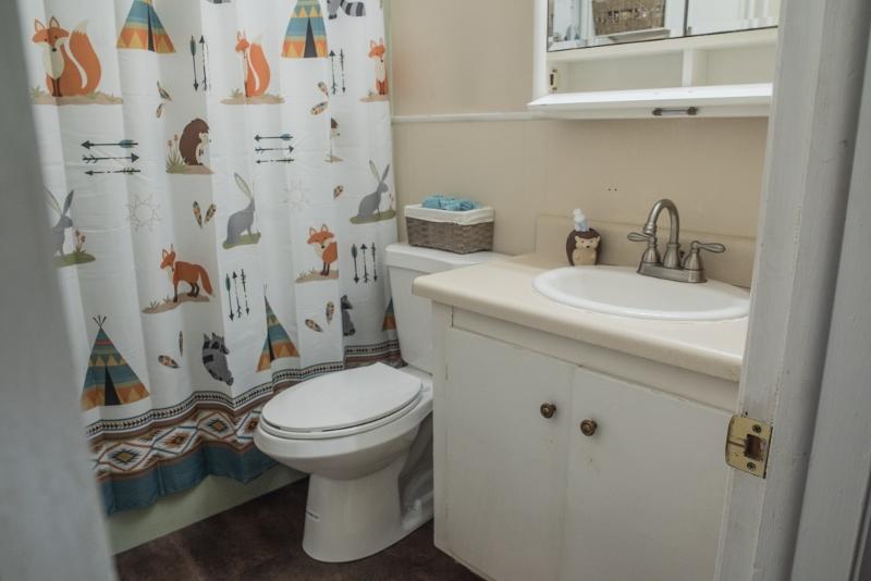 5072 Old Pike Road Pilot, VA 24138 - Photo 17 of 55 a white toilet sitting next to a bathroom sink