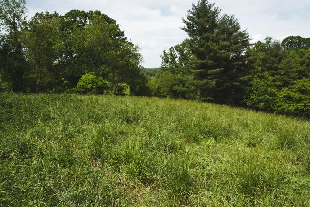 5072 Old Pike Road Pilot, VA 24138 - Photo 34 of 55 a view of a lush green space