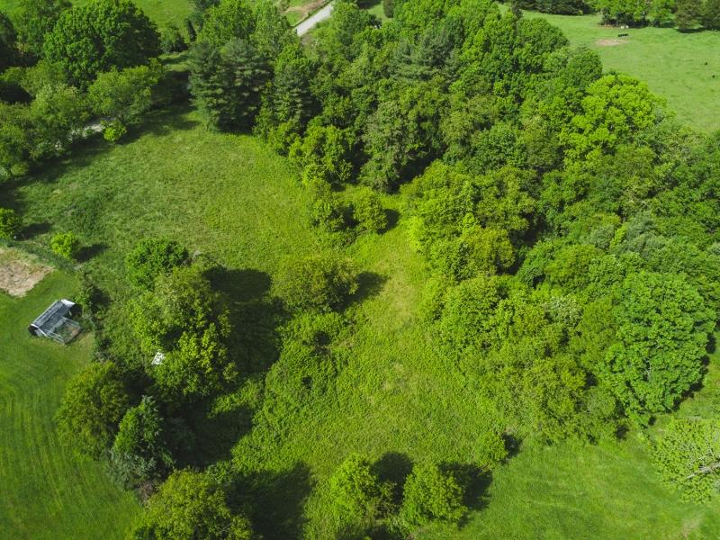 5072 Old Pike Road Pilot, VA 24138 - Photo 53 of 55 a view of a lush green forest
