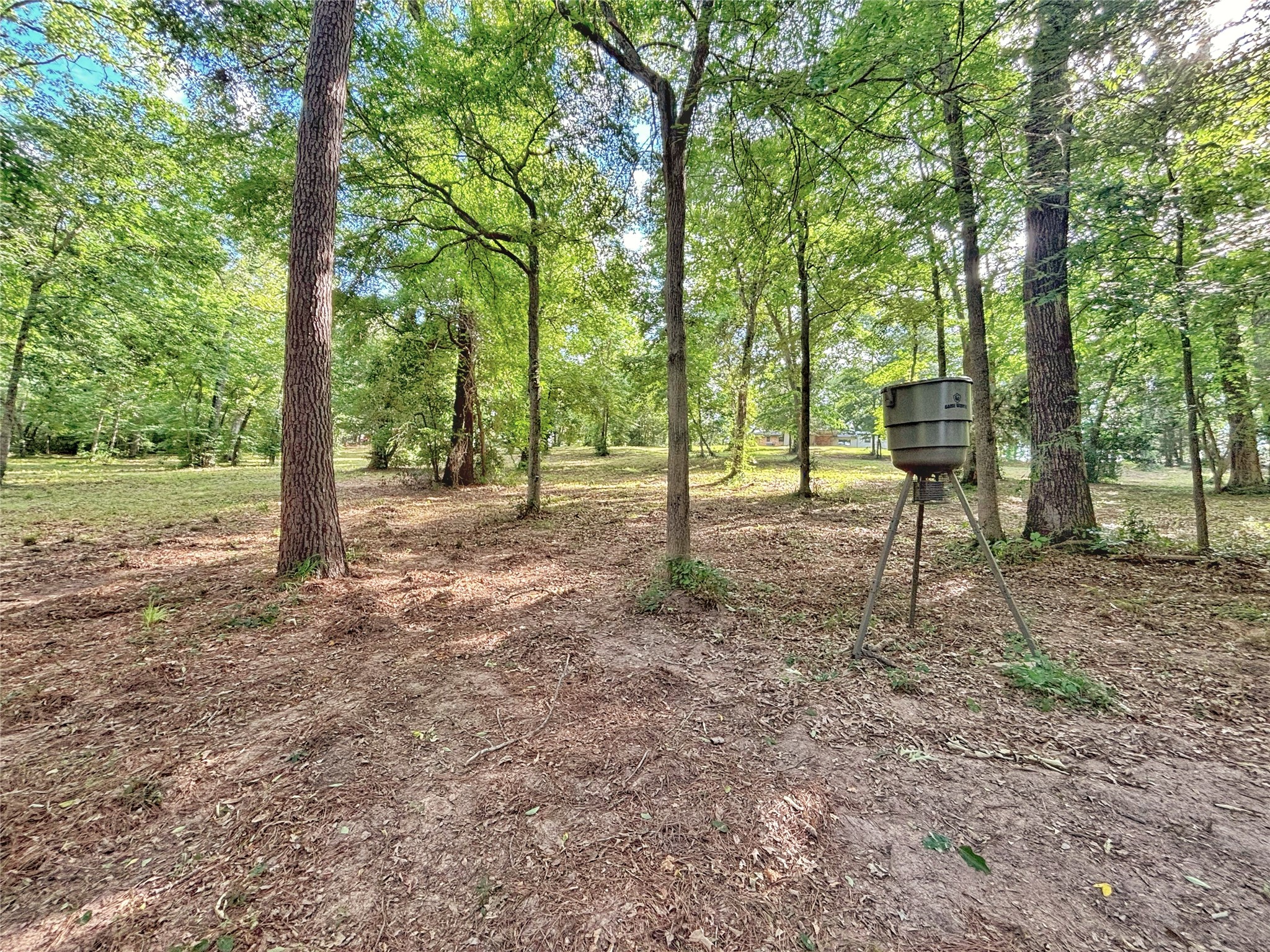 390 County Road 1701 Rusk, TX 75785 - Photo 39 of 43