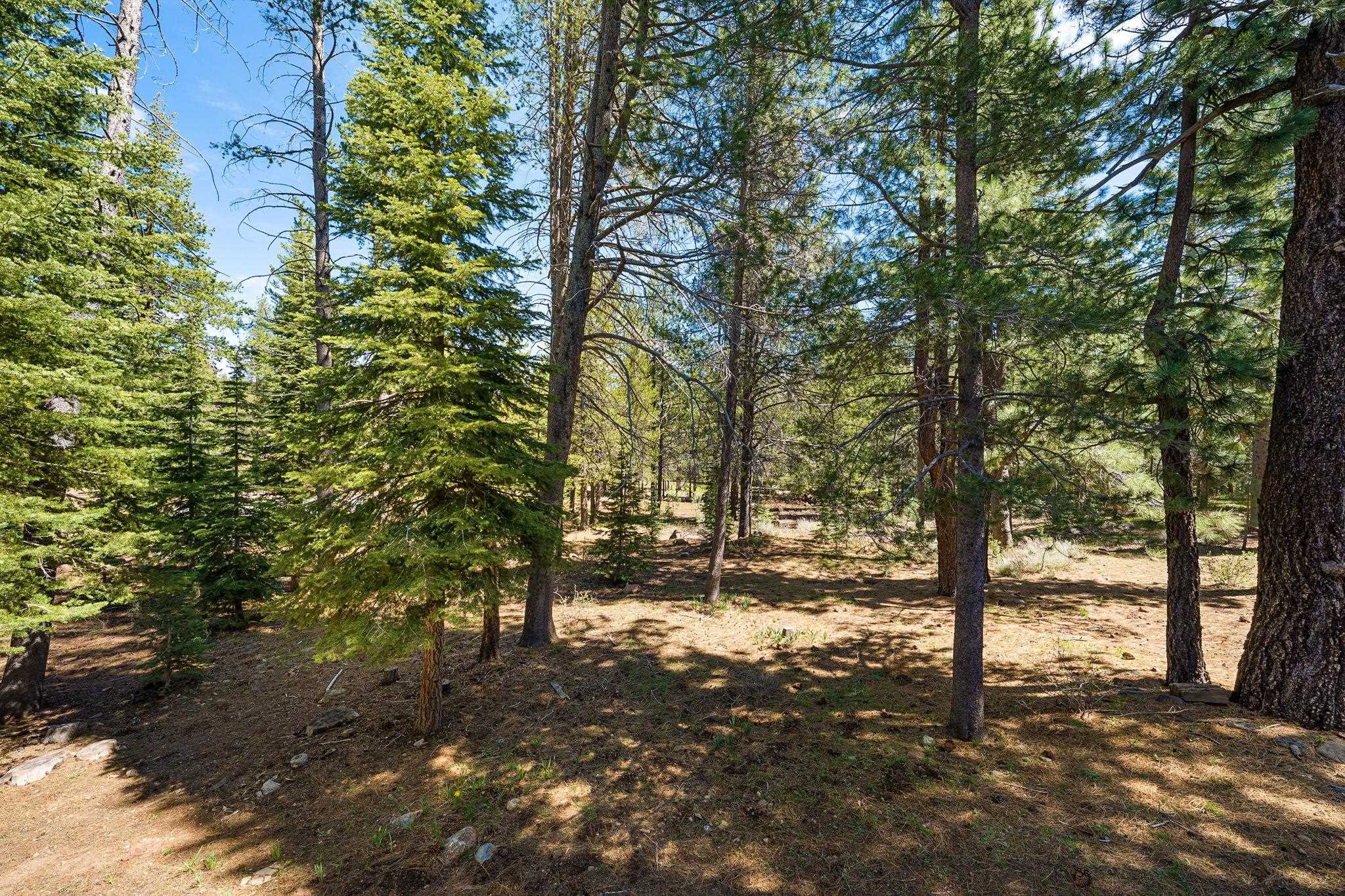 11443 Northwoods Boulevard, Unit B Truckee, CA 96161 - Photo 2 of 19