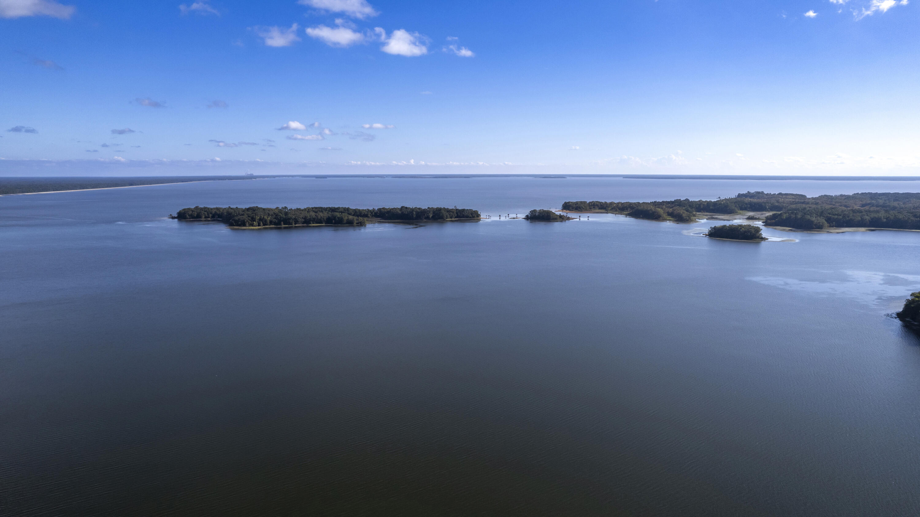 1229 Lemon Avenue Manning, SC 29102 - Photo 33 of 37 34