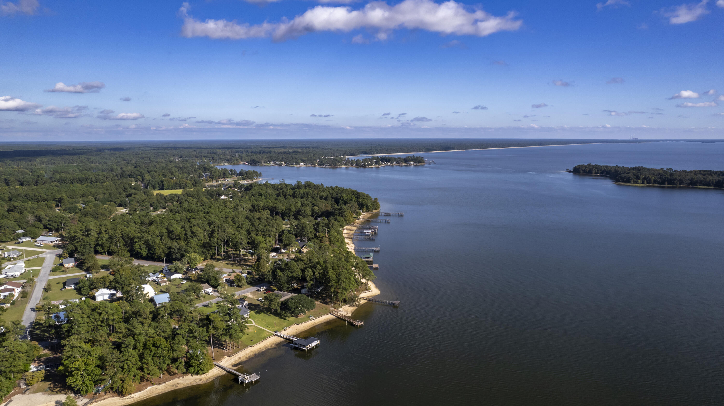 1229 Lemon Avenue Manning, SC 29102 - Photo 34 of 37 35