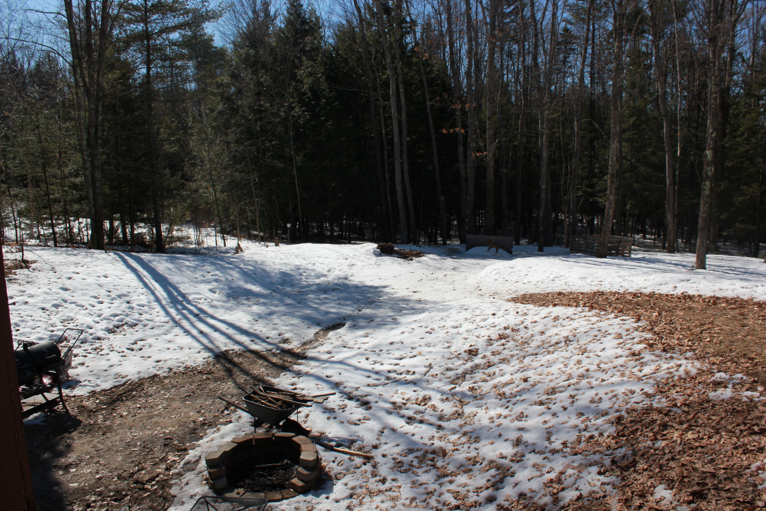 147 New County Road Hollis Center, ME 04042 - Photo 10 of 20 IMG_4393