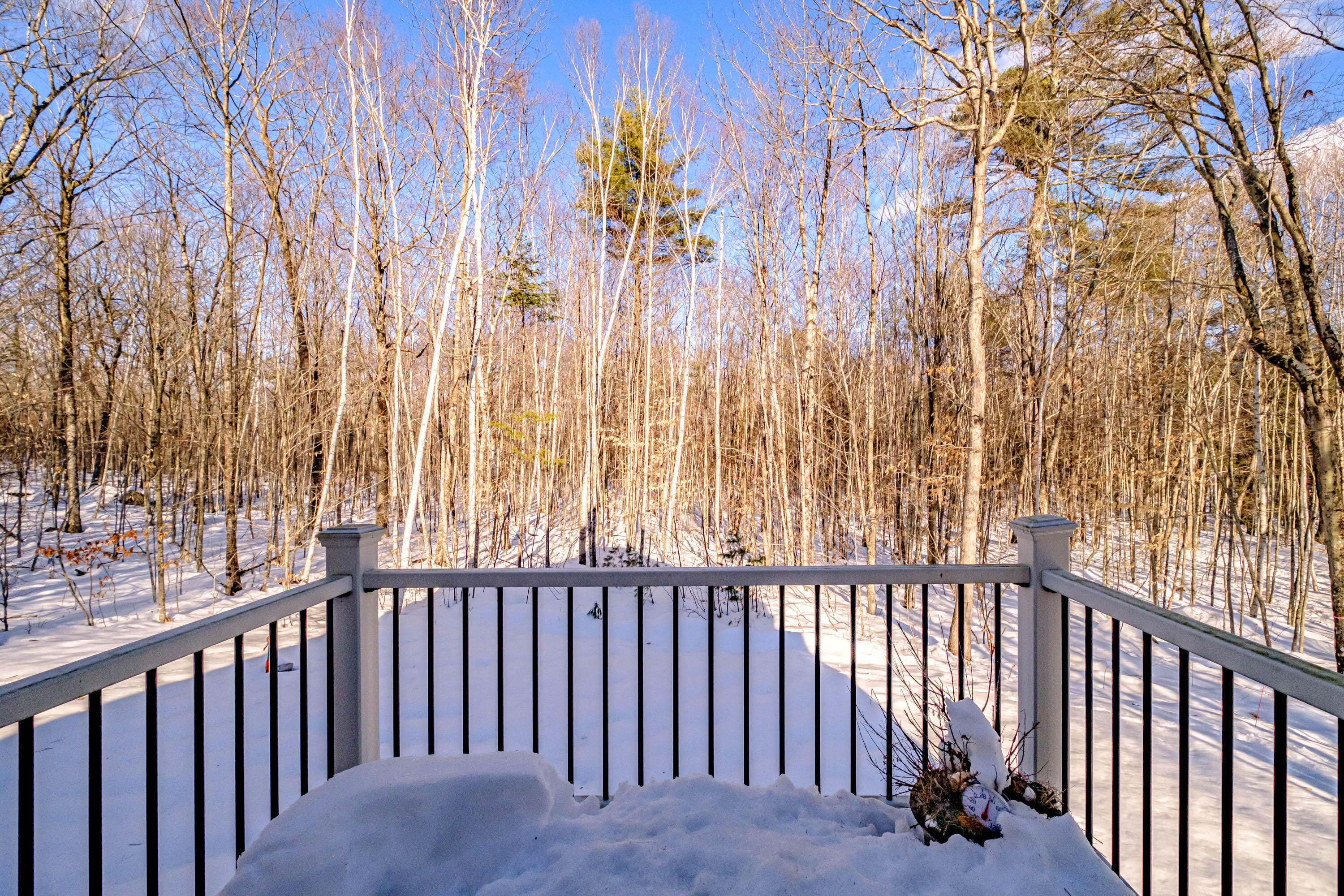 35 Escott Way Naples, ME 04055 - Photo 23 of 38 20230210gp-61025