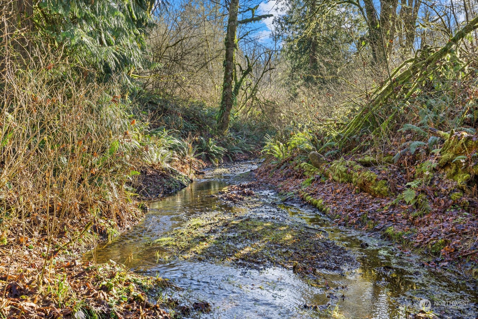 20116 Welch Road Snohomish, WA 98296 - Photo 39 of 40 Gallery Image 39
