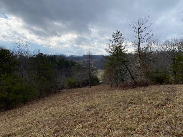 7006 Lacy Creek Road Hazel Green, KY 41332 - Photo 11 of 39 IMG_9611