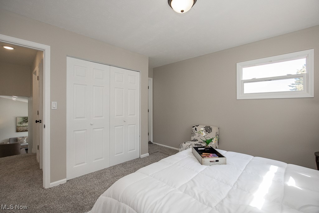 4670 Green Road Cleveland, OH 44128 - Photo 20 of 38 Bedroom with light carpet and a closet