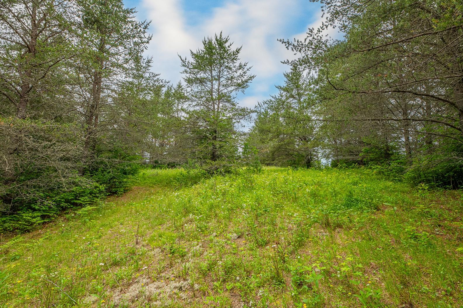 Three Lehman Road Three Lakes, WI 54562 - Photo 11 of 18 Gallery Image 11