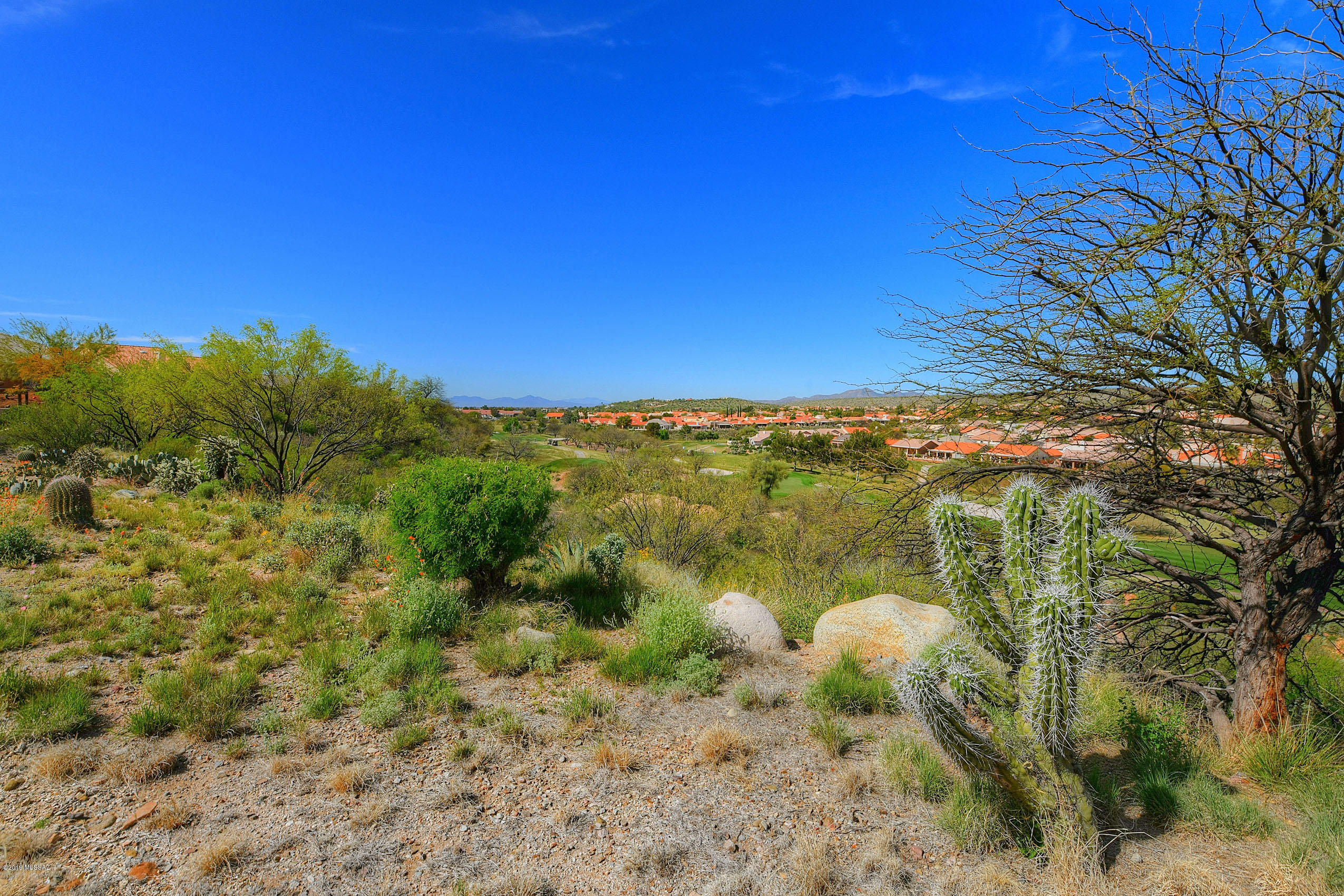 37172 South Highland Ridge Drive Saddlebrooke, AZ 85739 - Photo 17 of 40