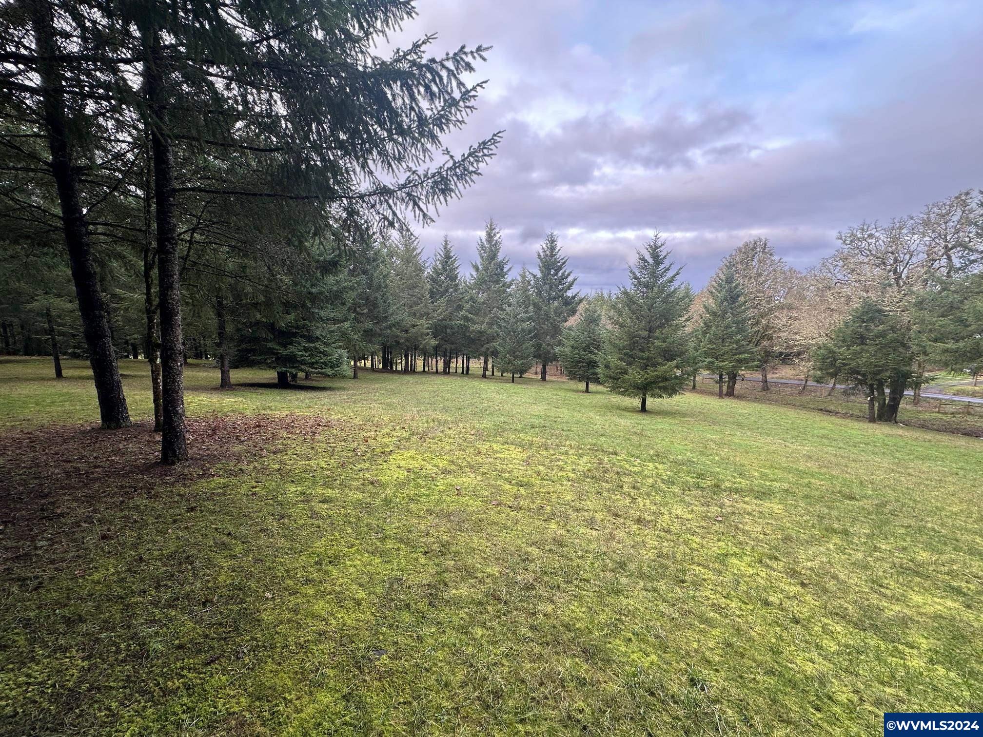 Tl#436096 May Road Dallas, OR 97338 - Photo 11 of 17