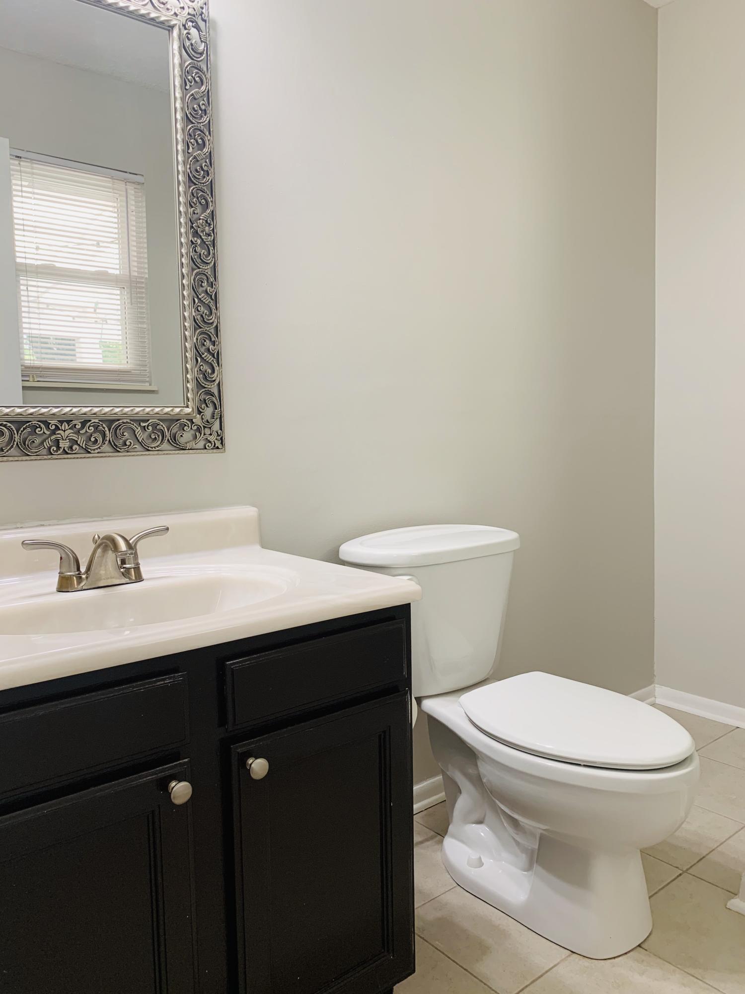 611 Worcester Road Knoxville, TN 37934 - Photo 14 of 35 Master Bedroom Bath