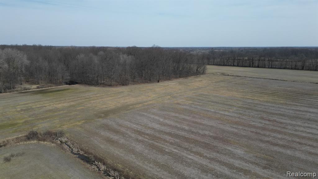 6 Kunstman Road Ray, MI 48096 - Photo 18 of 20