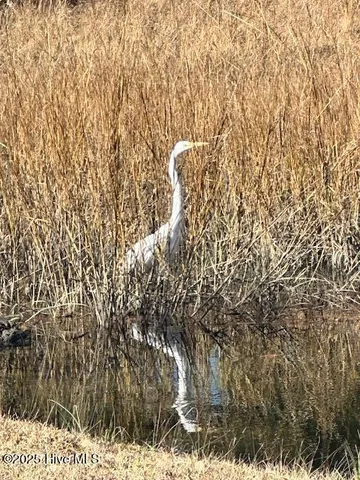 $675,000 | 209 Shore Road, Newport, NC 28570
