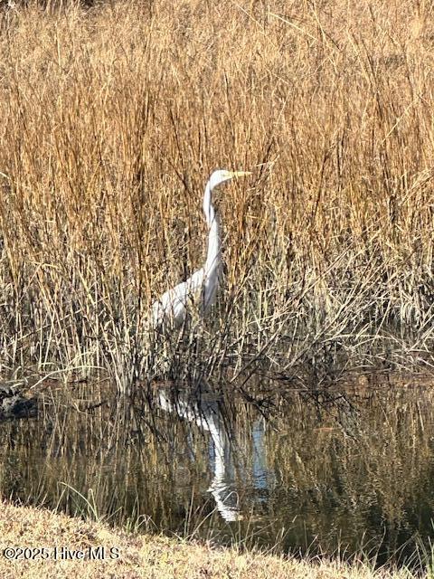 209 Shore Road Newport, NC 28570 - Photo 35 of 61 IMG_5634