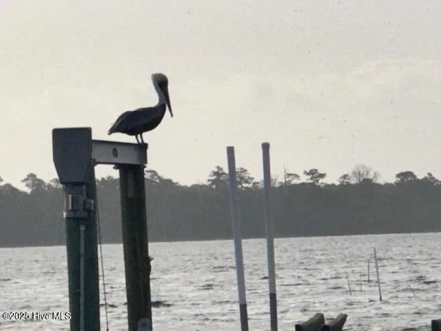 $675,000 | 209 Shore Road, Newport, NC 28570