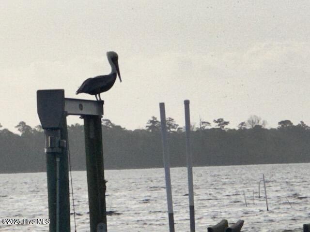 209 Shore Road Newport, NC 28570 - Photo 44 of 61 IMG_6122