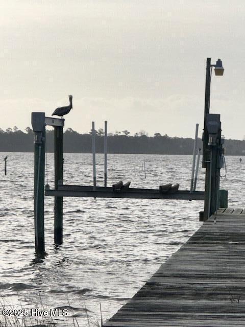 209 Shore Road Newport, NC 28570 - Photo 47 of 61 BOAT LIFT