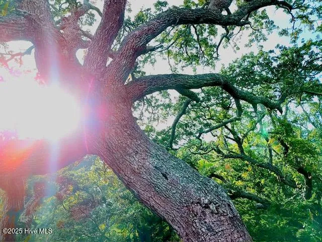 $675,000 | 209 Shore Road, Newport, NC 28570