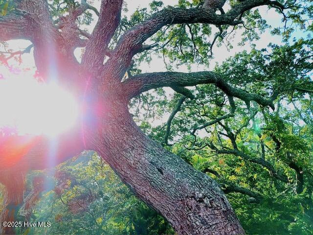 209 Shore Road Newport, NC 28570 - Photo 59 of 61 150501630394736835