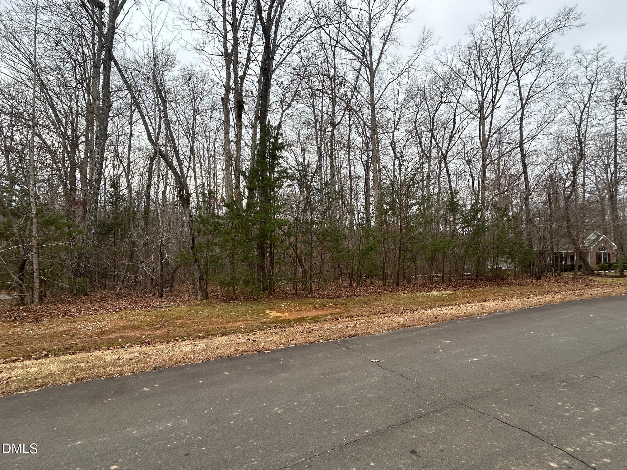 0 Weaver Ridge Road Rougemont, NC 27572 - Photo 5 of 10