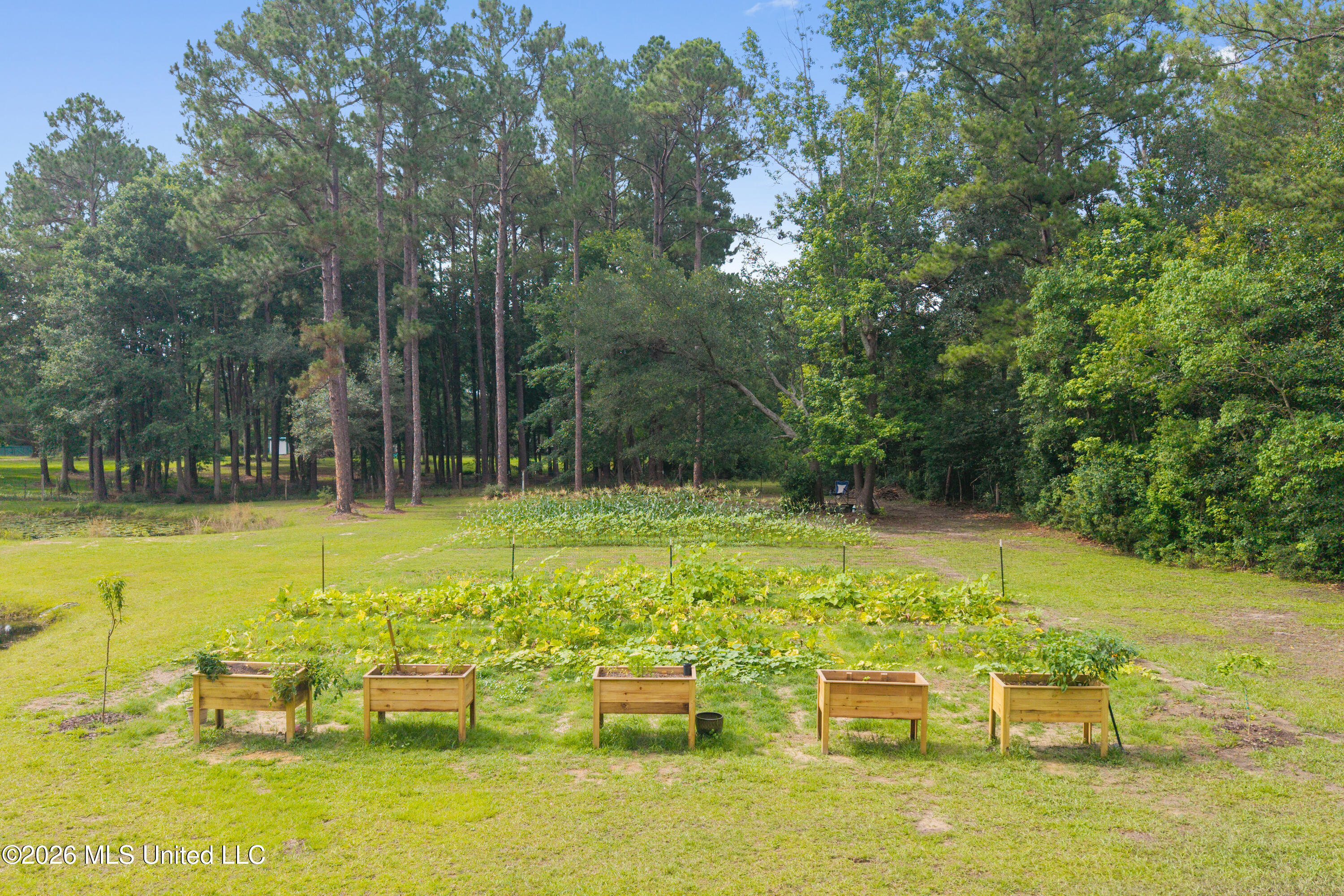 11208 Hillside Hollow Road Vancleave, MS 39565 - Photo 55 of 67 00057