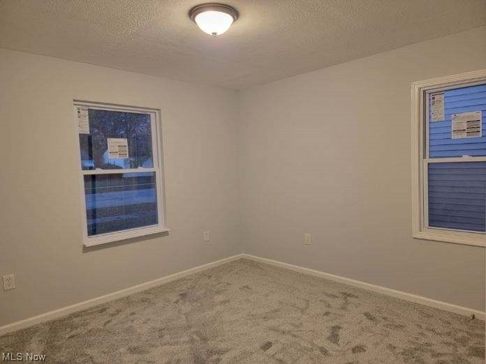 2052 North Green Road Cleveland, OH 44121 - Photo 10 of 13 New Carpet, Windows, light fixture with a textured ceiling