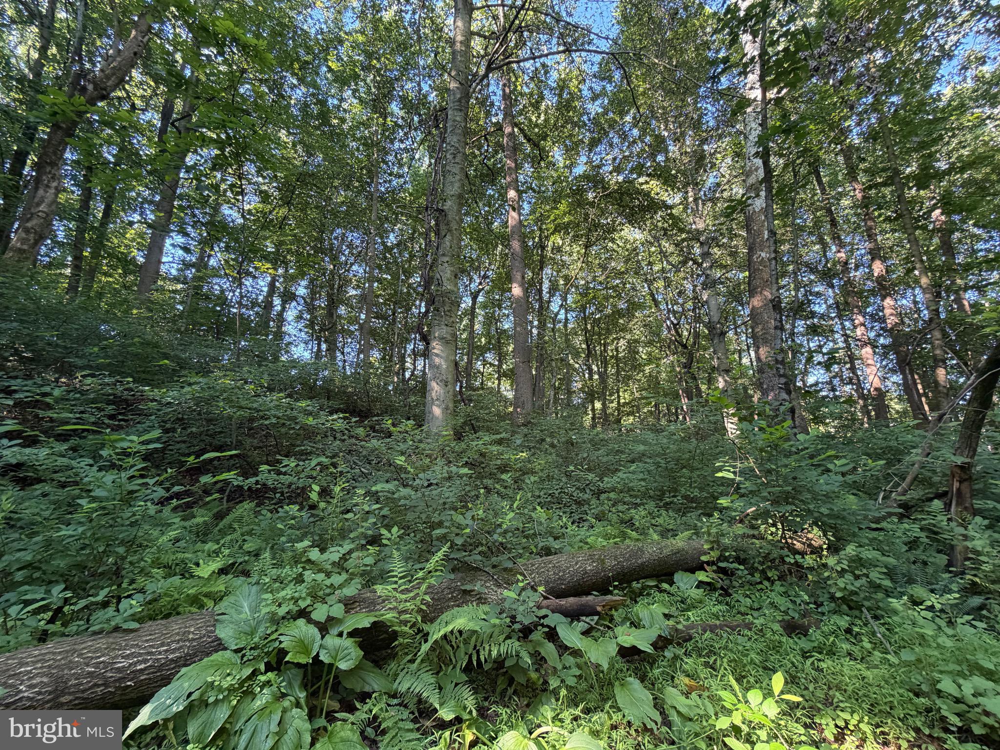 0 Rock Springs Road Conowingo, MD 21918 - Photo 79 of 79
