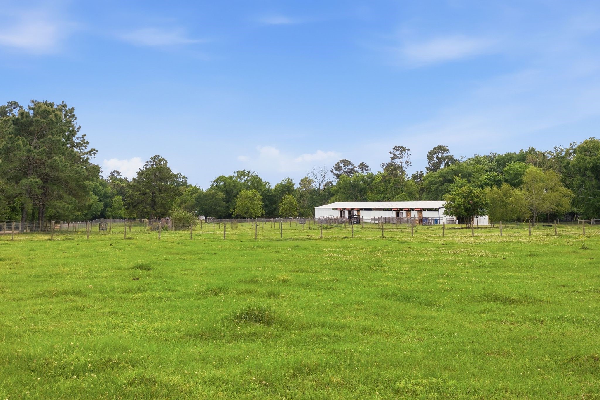 2743 Bobville Road Montgomery, TX 77316 - Photo 7 of 50