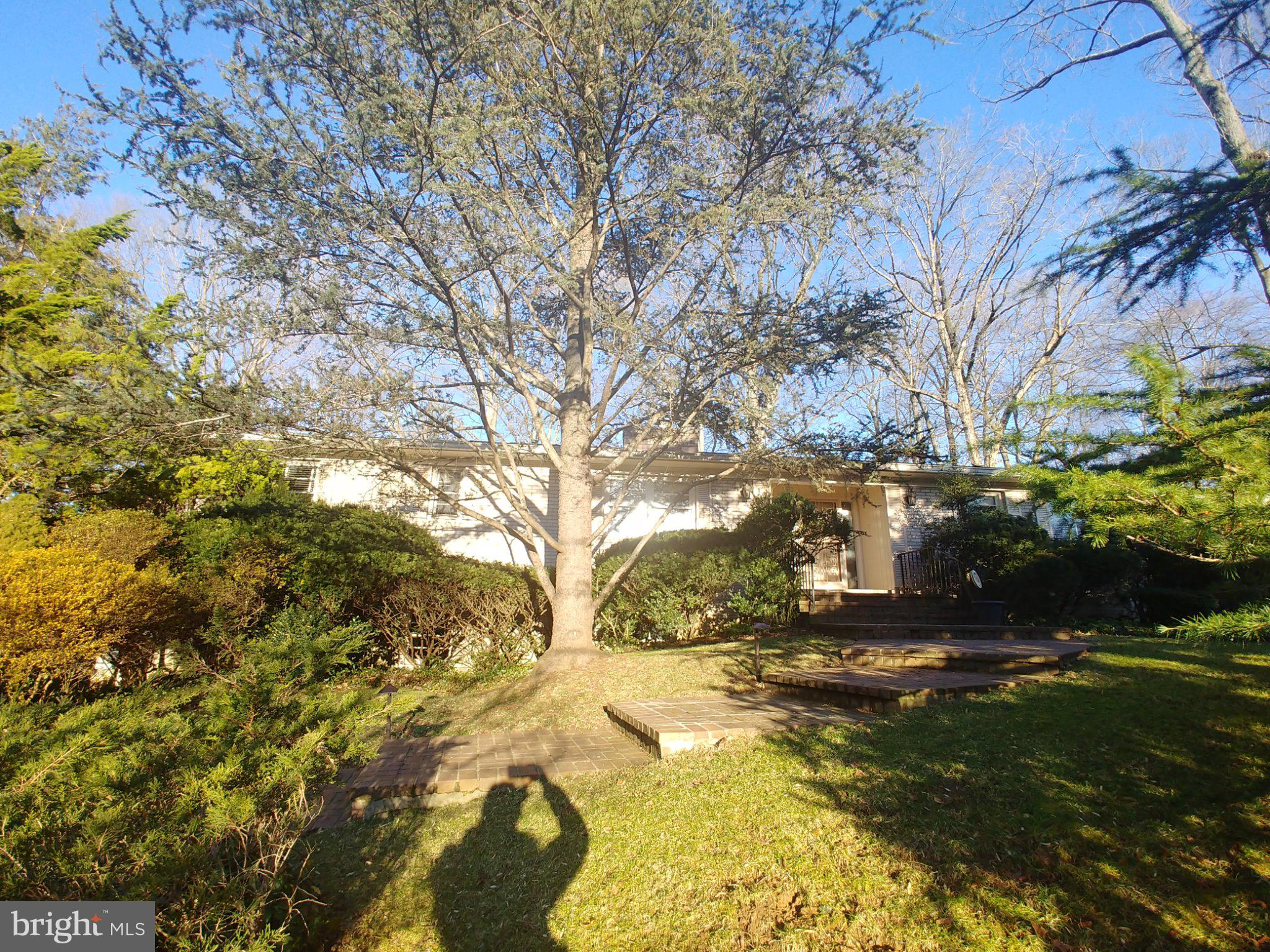 1429 Laburnum Street McLean, VA 22101 - Photo 1 of 26 Charming home embraced by nature.