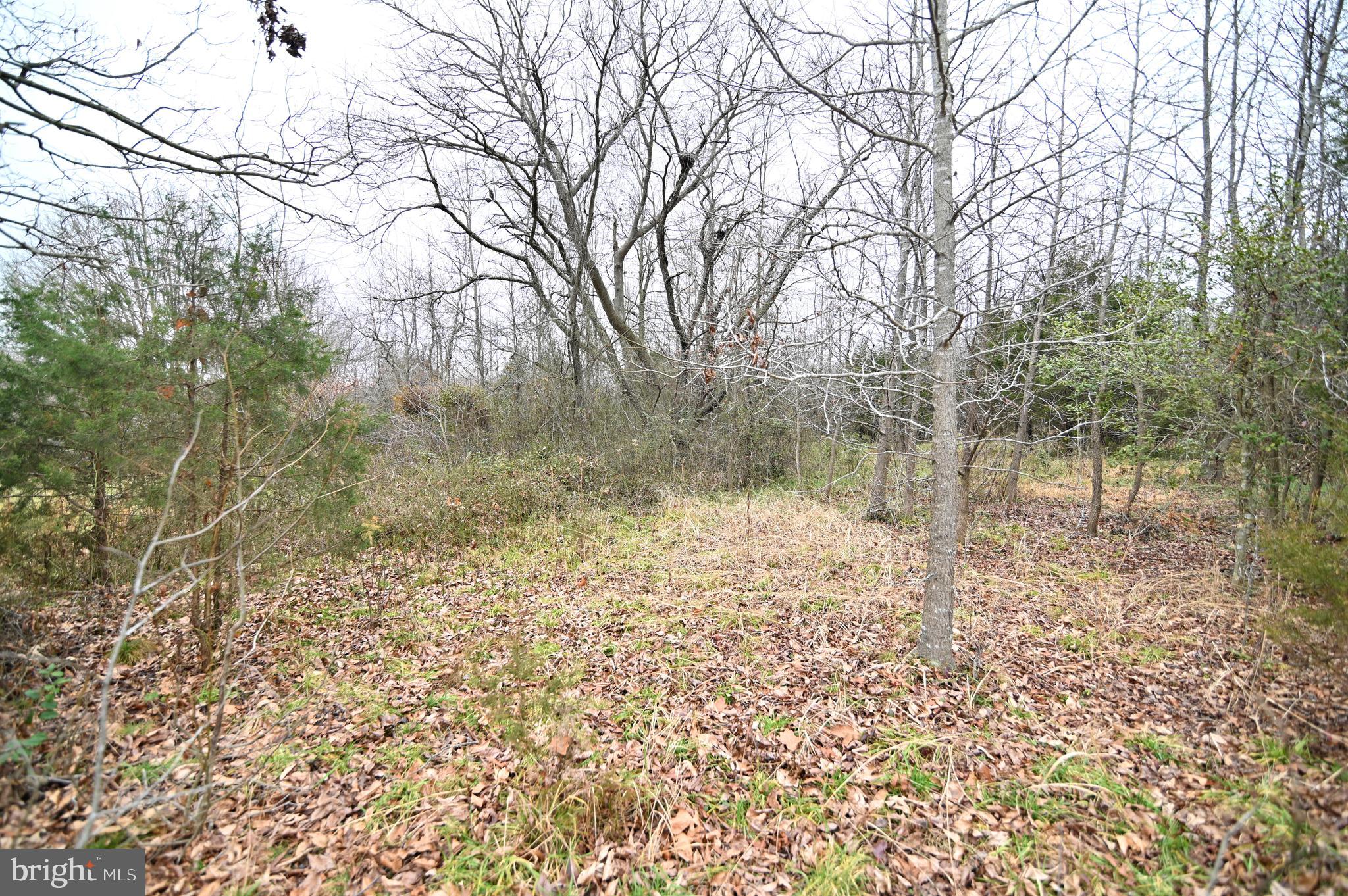 Wheatley Road La Plata, MD 20646 - Photo 12 of 20 Gallery Image 12