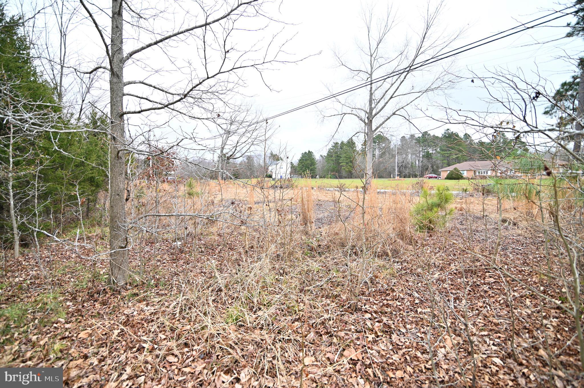 Wheatley Road La Plata, MD 20646 - Photo 13 of 20 Gallery Image 13