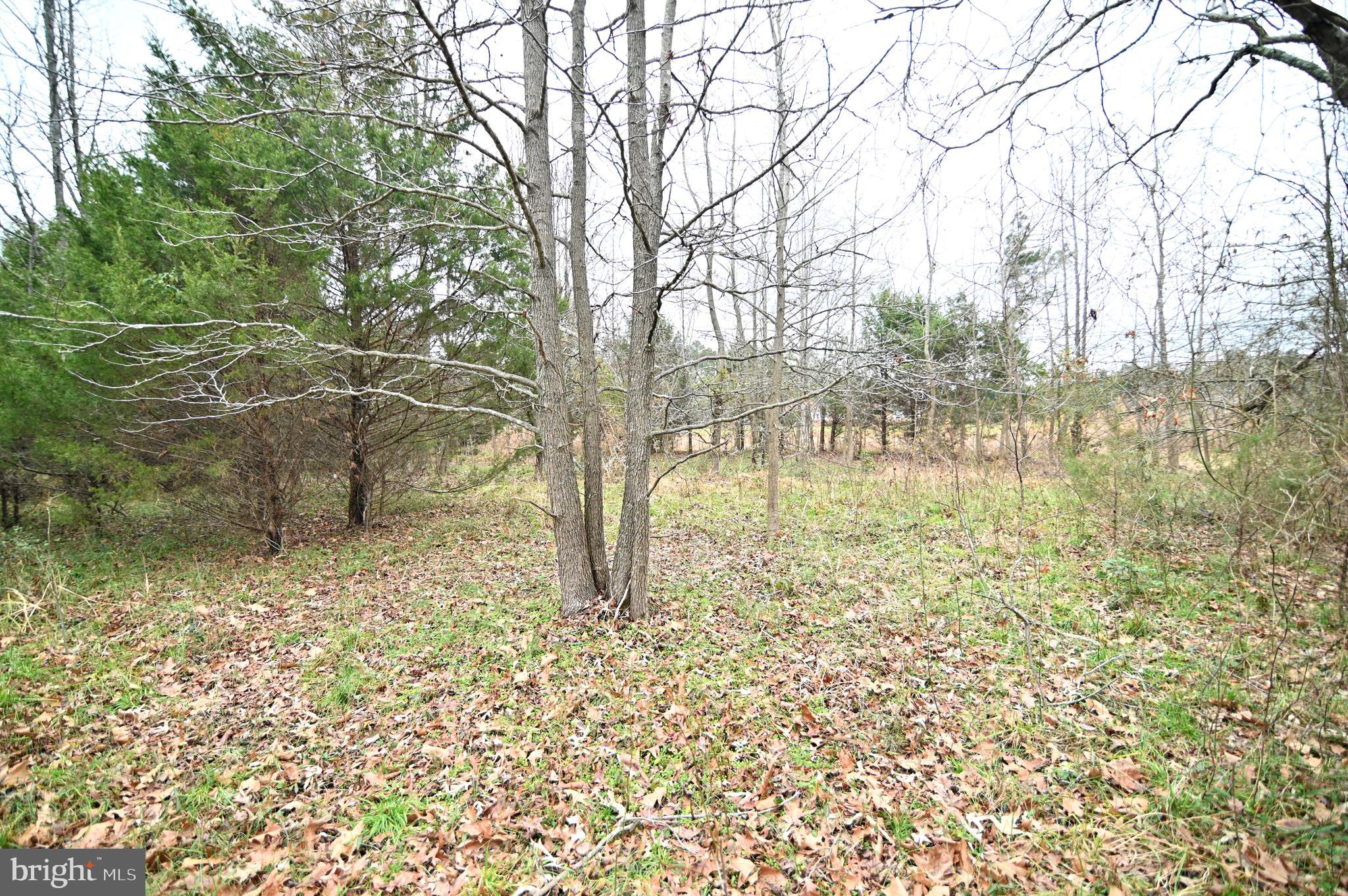 Wheatley Road La Plata, MD 20646 - Photo 14 of 20 Gallery Image 14