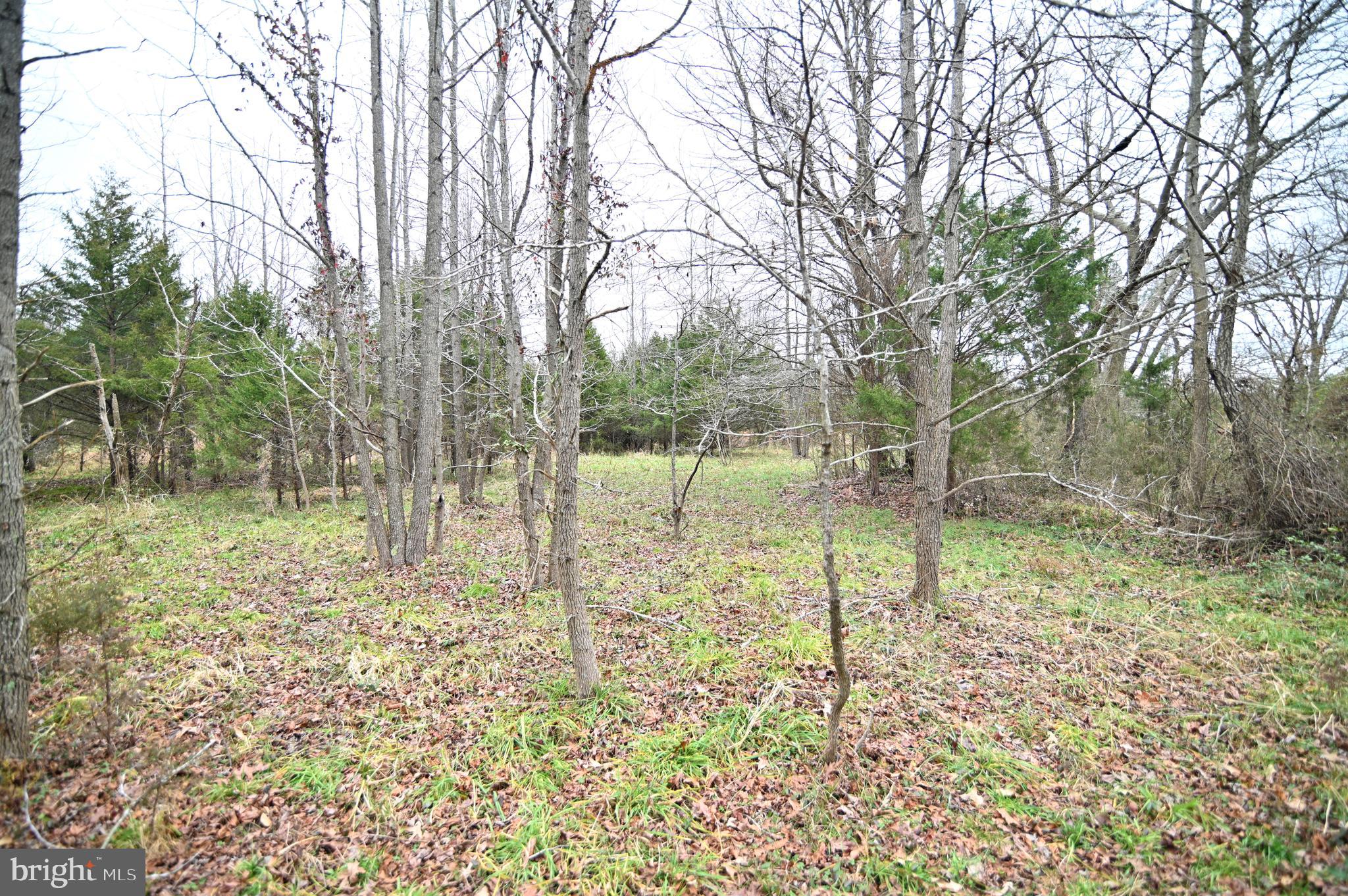 Wheatley Road La Plata, MD 20646 - Photo 15 of 20 Gallery Image 15