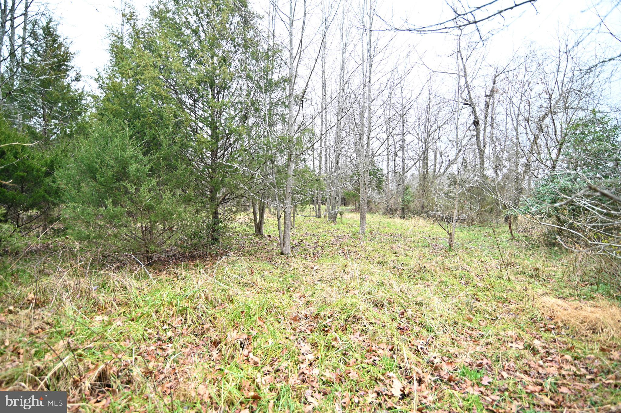 Wheatley Road La Plata, MD 20646 - Photo 16 of 20 Gallery Image 16