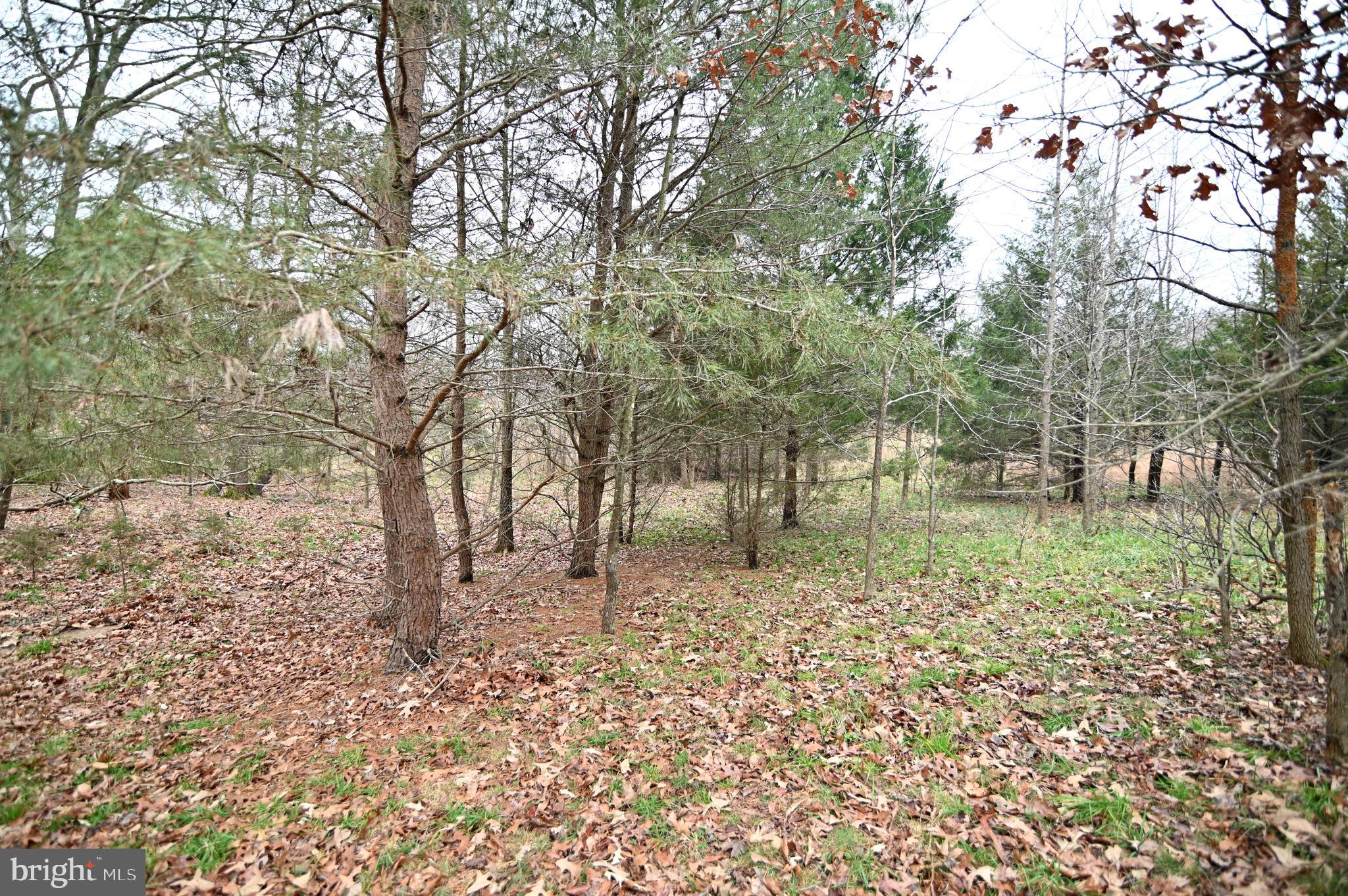 Wheatley Road La Plata, MD 20646 - Photo 17 of 20 Gallery Image 17