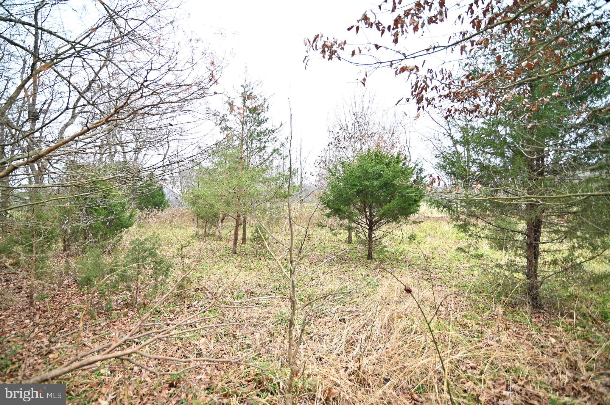 Wheatley Road La Plata, MD 20646 - Photo 18 of 20 Gallery Image 18