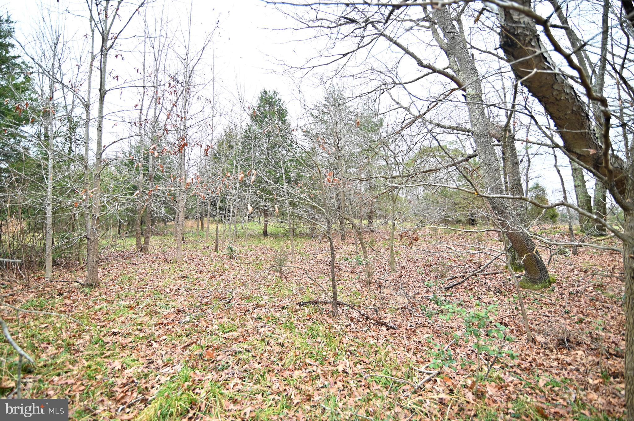Wheatley Road La Plata, MD 20646 - Photo 19 of 20 Gallery Image 19