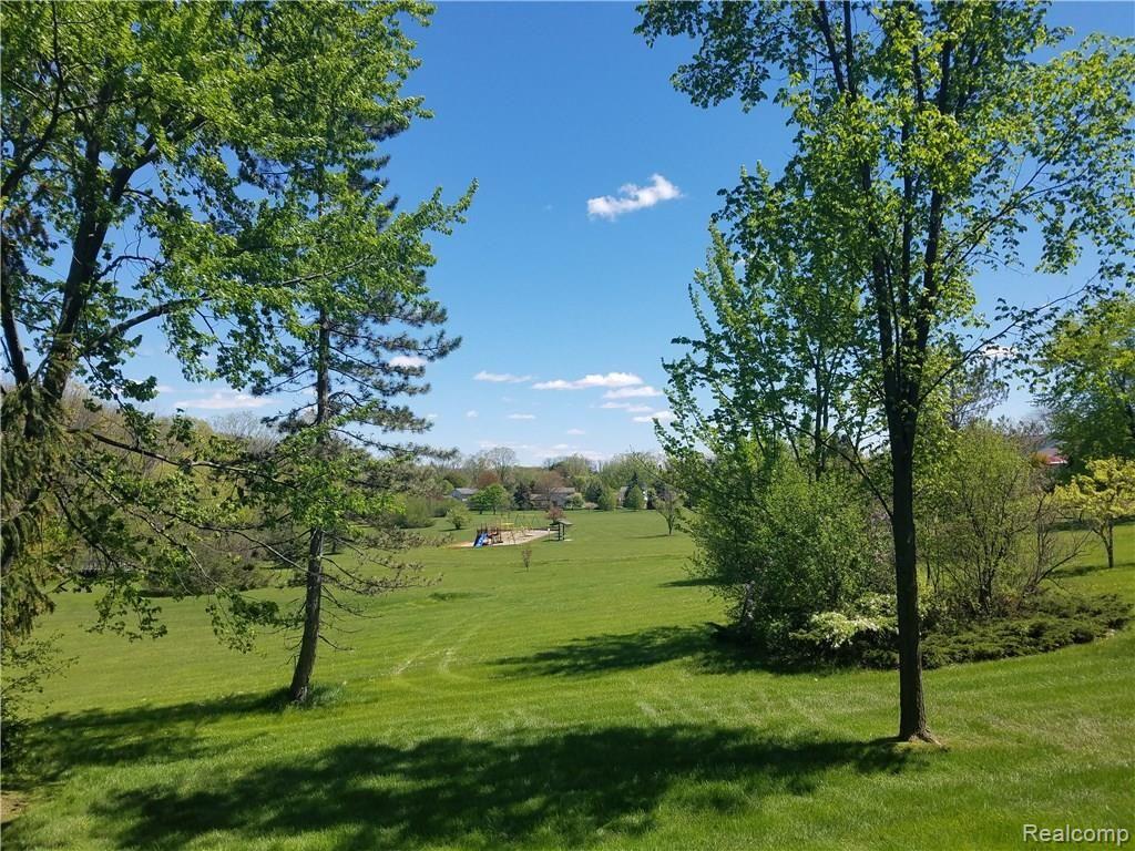 36214 Smithfield Road Farmington, MI 48335 - Photo 32 of 41 Open views to park
