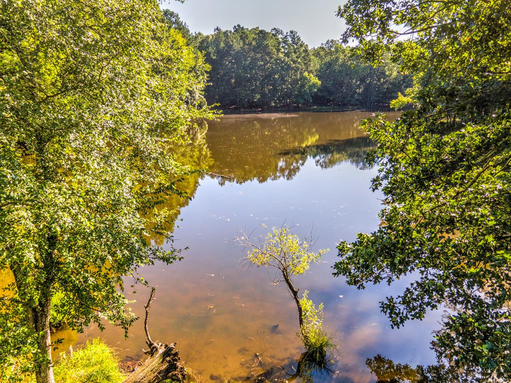 0 Dead Man Road Edgefield, SC 29824 - Photo 13 of 63