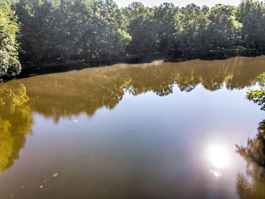 0 Dead Man Road Edgefield, SC 29824 - Photo 17 of 63