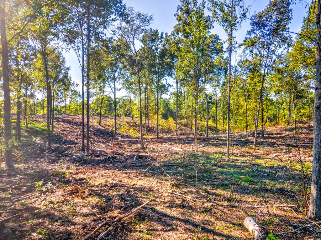 0 Dead Man Road Edgefield, SC 29824 - Photo 2 of 63