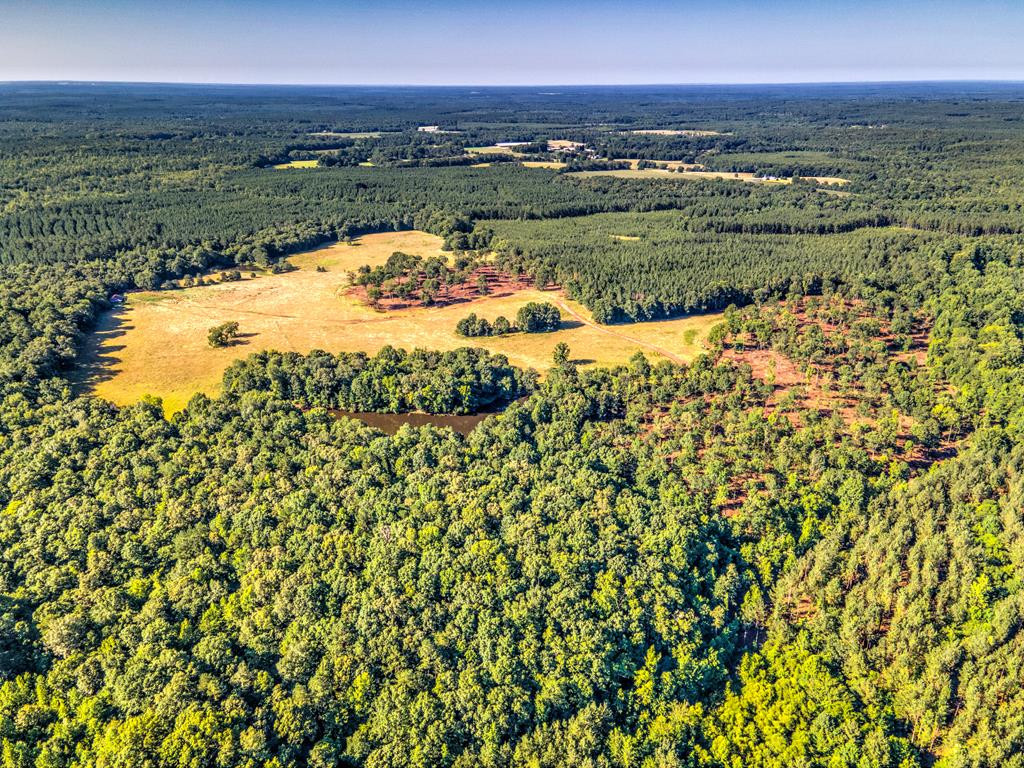 0 Dead Man Road Edgefield, SC 29824 - Photo 25 of 63
