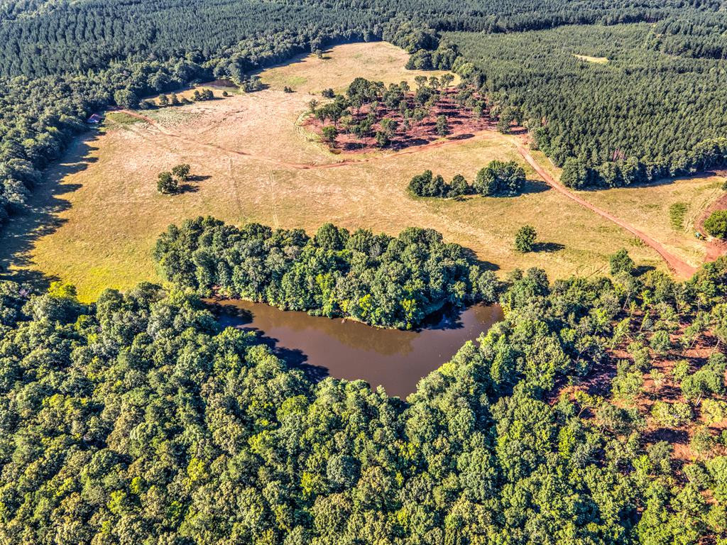 0 Dead Man Road Edgefield, SC 29824 - Photo 26 of 63