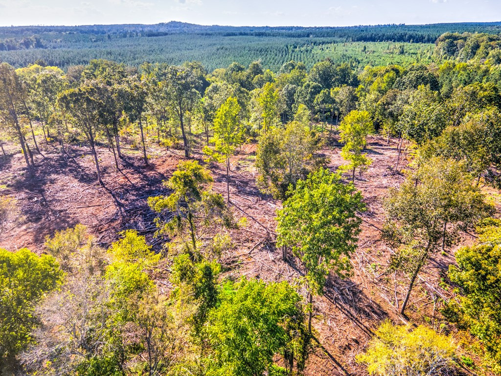 0 Dead Man Road Edgefield, SC 29824 - Photo 3 of 63