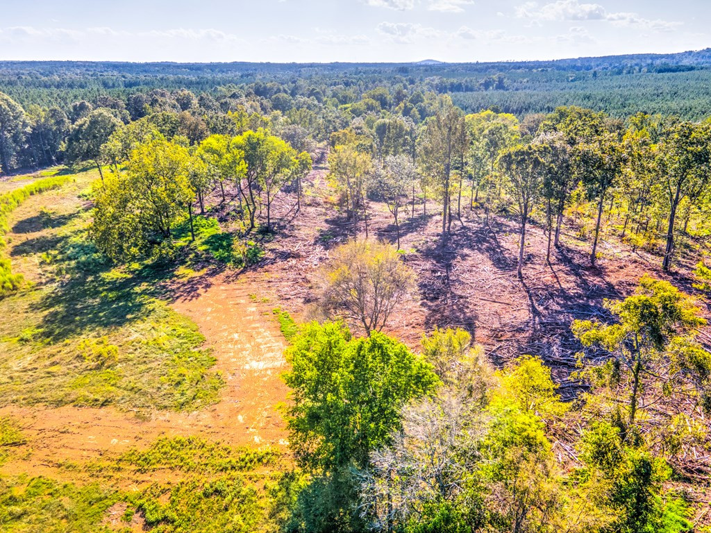 0 Dead Man Road Edgefield, SC 29824 - Photo 4 of 63