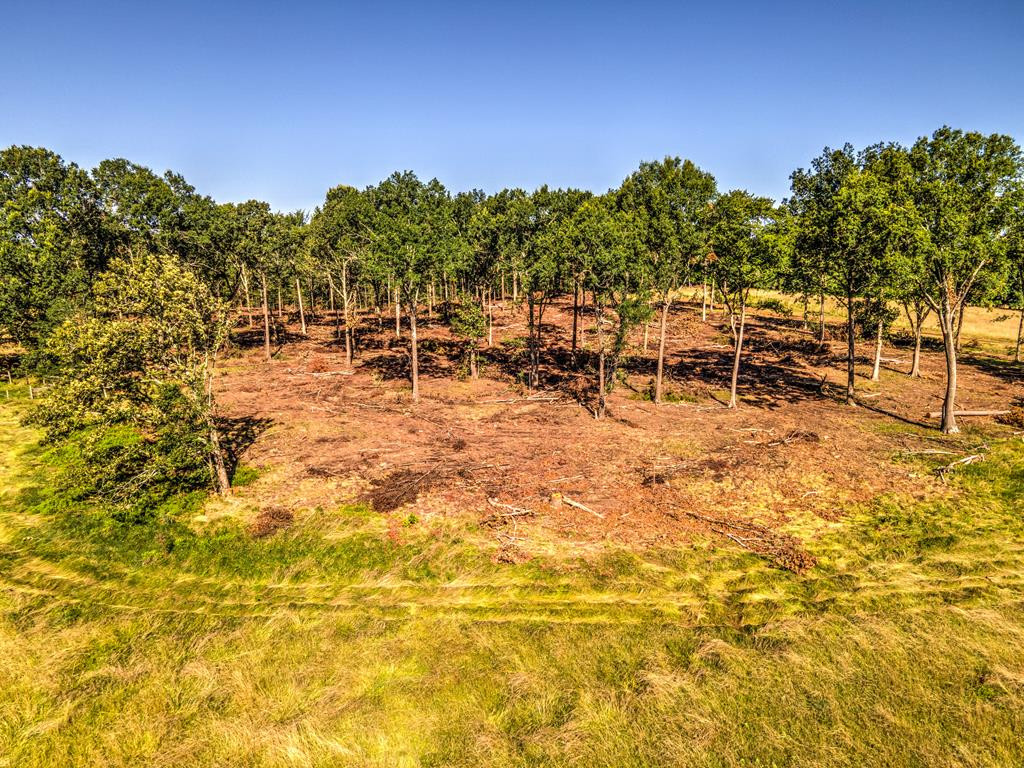 0 Dead Man Road Edgefield, SC 29824 - Photo 42 of 63