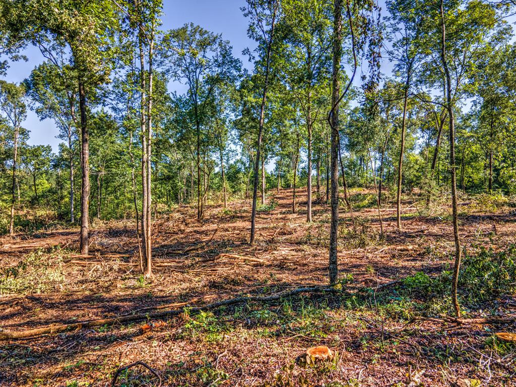 0 Dead Man Road Edgefield, SC 29824 - Photo 45 of 63
