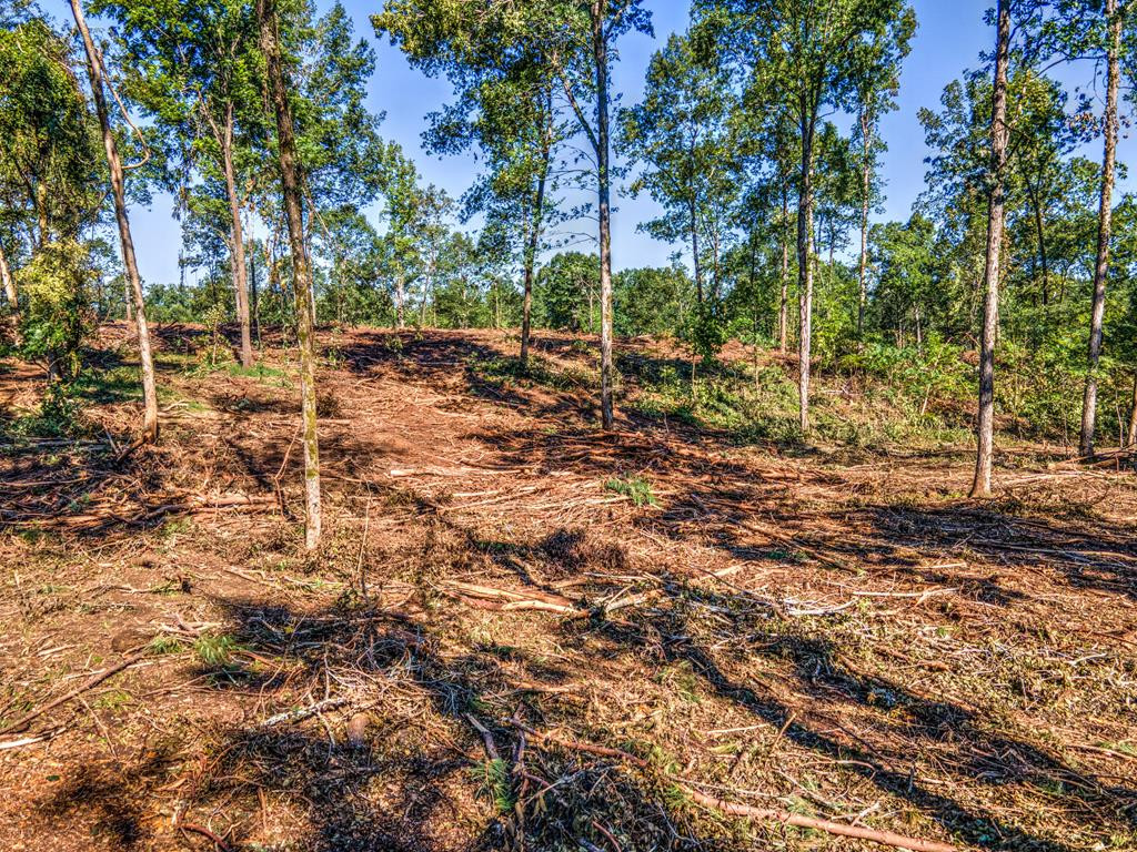 0 Dead Man Road Edgefield, SC 29824 - Photo 47 of 63