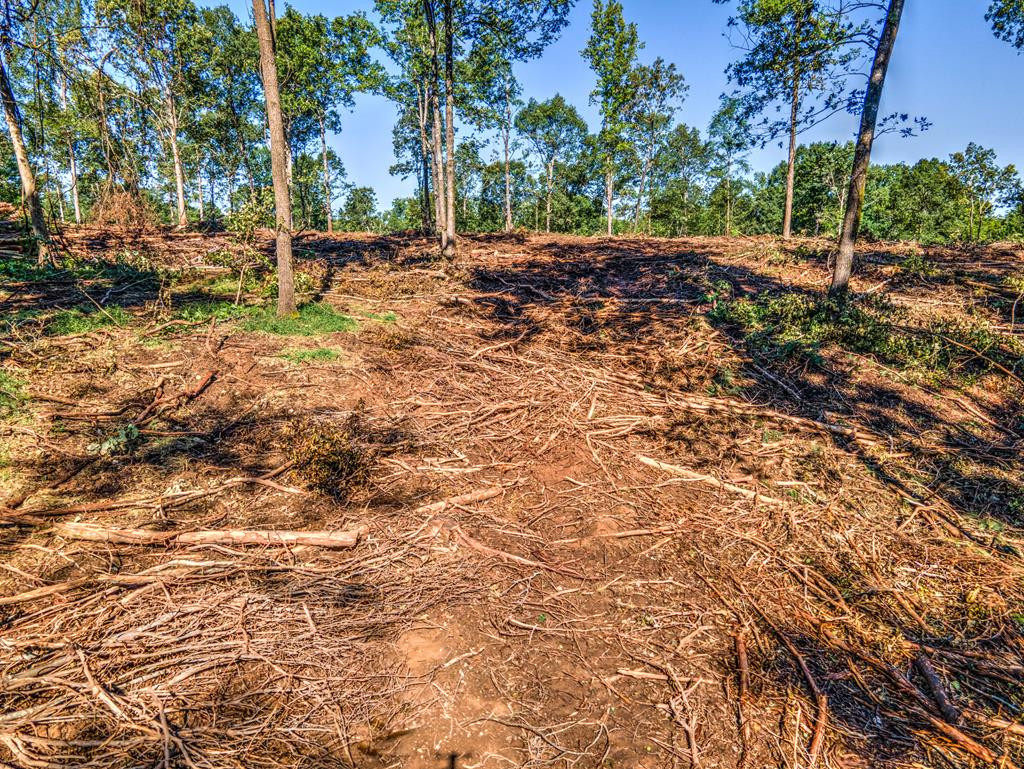 0 Dead Man Road Edgefield, SC 29824 - Photo 49 of 63